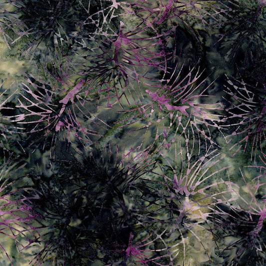 Tonga || Dried Tree Branches || Cellar