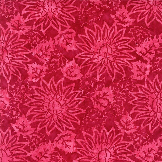 Tonga Geranium || Floral Bursts || Dahlia