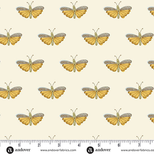 White Chrysalis Flourish by Alexandra Bordallo