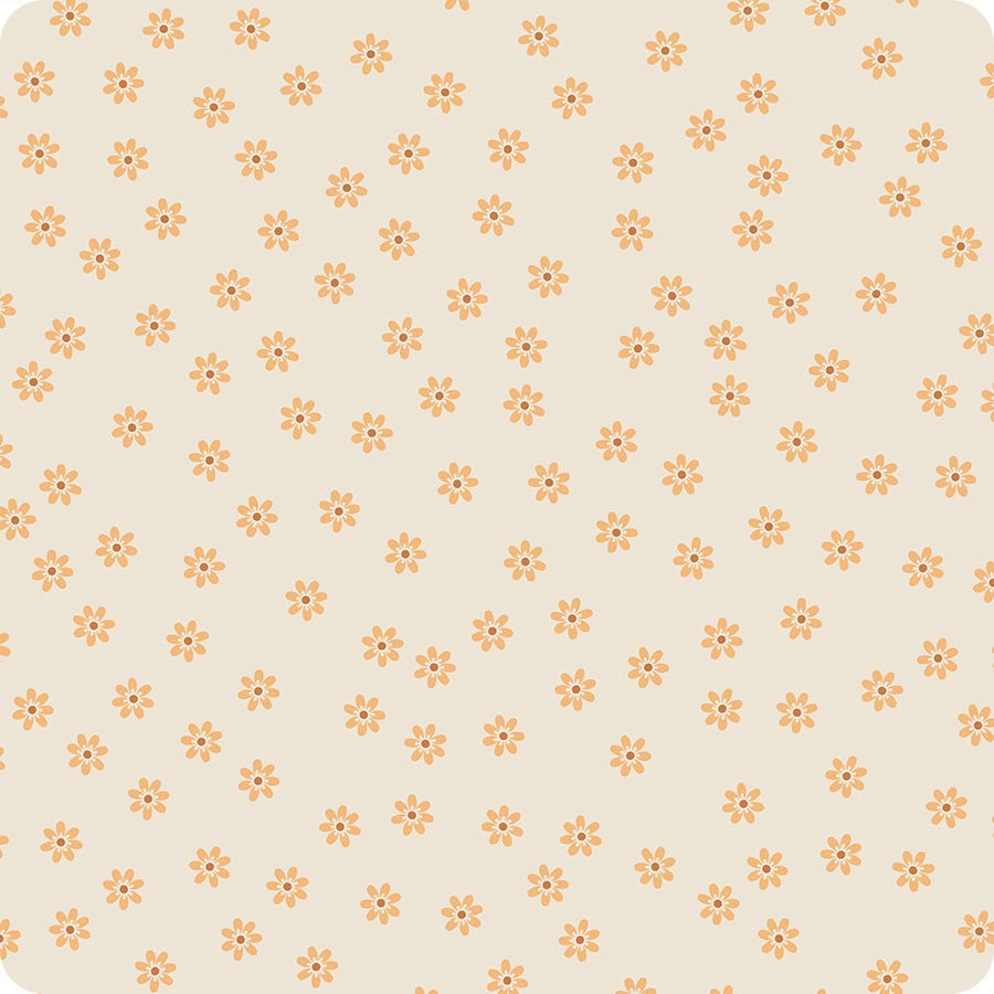 Denim & Daisy || Daisies || Daisy