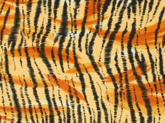Gallery: It's a Jungle Out There CD-15002-001