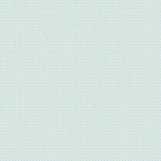 Le Petit Escargot || Slow Down || Teal