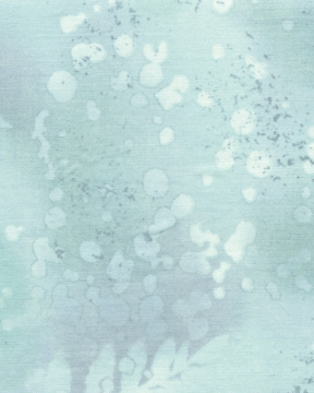 Fossil Fern Cloudy Day