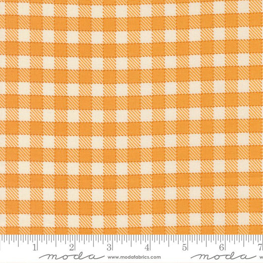 Animal Park Fun Canary Plaid