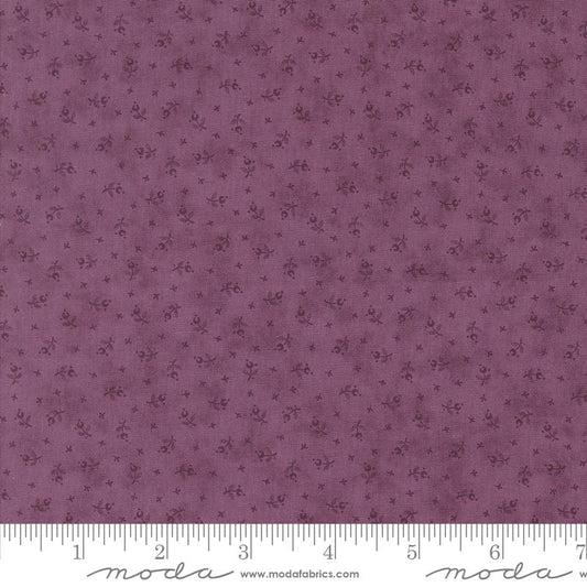 3 Sisters Lavender Fields Pansy Berry Toss