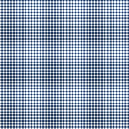 Classics White/Navy Mini Gingham