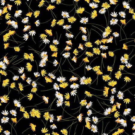Delightful Daisies Daisy Dreams Black