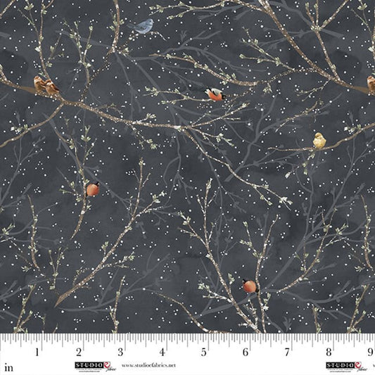 Hazy Shade of Winter Midnight Branches