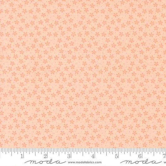 Pastel Prairie || Petal || Colander Floral