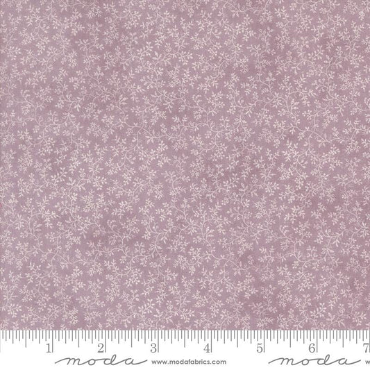 3 Sisters Lavender Fields Iris Vines