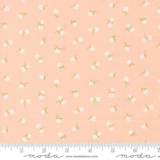 Pastel Prairie || Petal || Tiny Floral