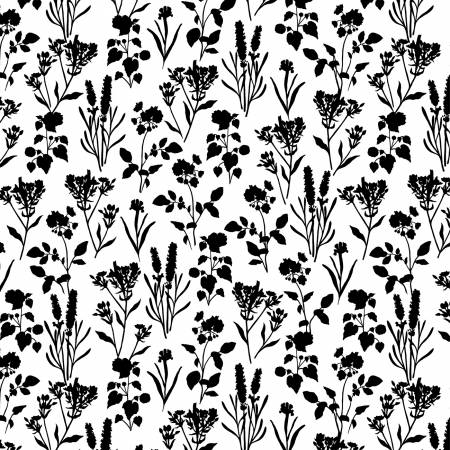 Shadow Blooms White Plants All Over