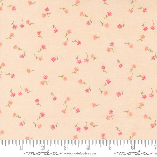 Kindness || Fluttering Flowers || Peach