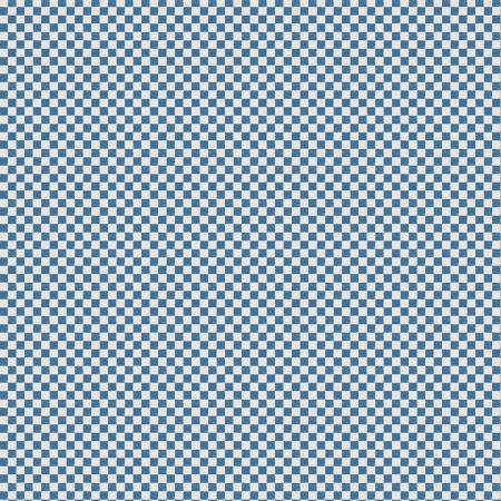 Check Please || 1/4in Check || Ivory Coastal Blue