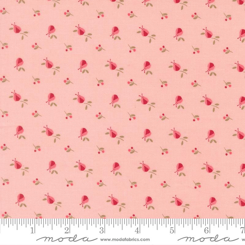 Lyda Rose Pink Ladybugs