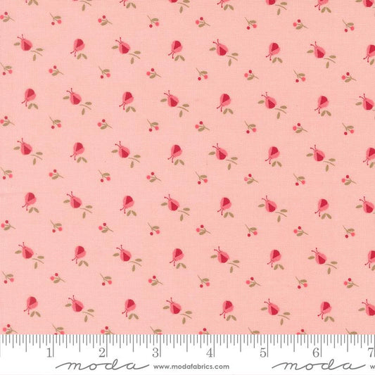 Lyda Rose Pink Ladybugs