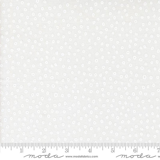 Botany Seeds Paper White