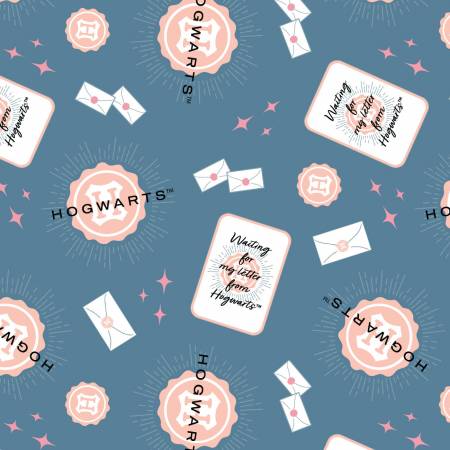 Harry Potter Mystical Winter Wonder Blue Hogwarts Letter