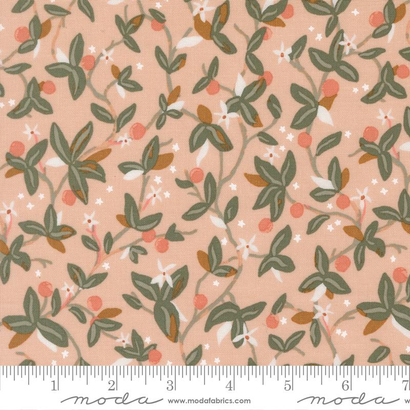 Peachy || Vines || Whipped Cream