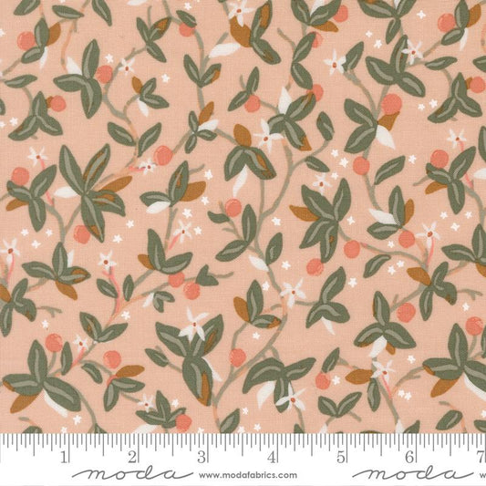 Peachy || Vines || Whipped Cream
