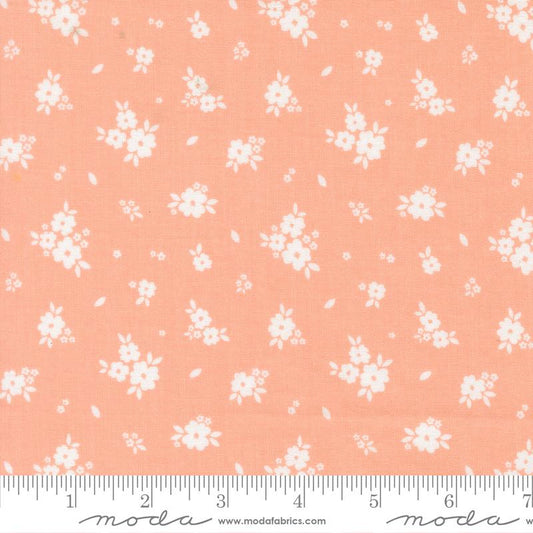 Pastel Prairie || Jovial ||  Bloomers Floral