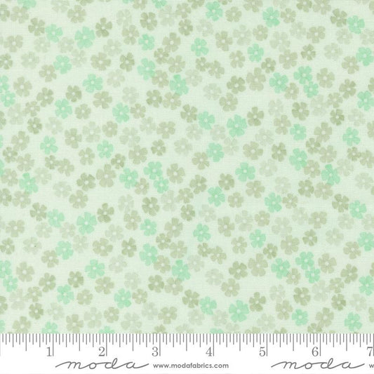 Kindness || Daisy Chain || Mist