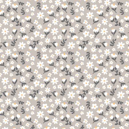 Hello Honey! Taupe Daisies