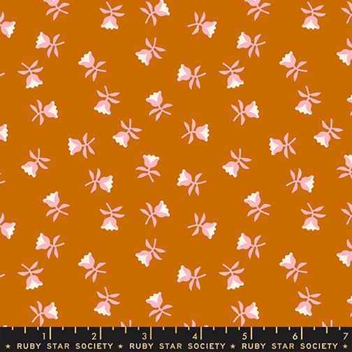 Mystic Fable Cinnamon RS4151 16 Ruby Star#1