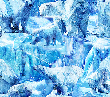 Illuminations Polar Bears Glacial Ice