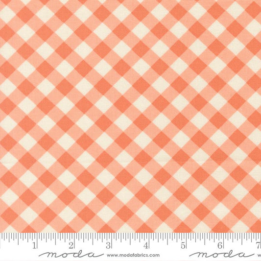 Pastel Prairie || Coral  || Gingham