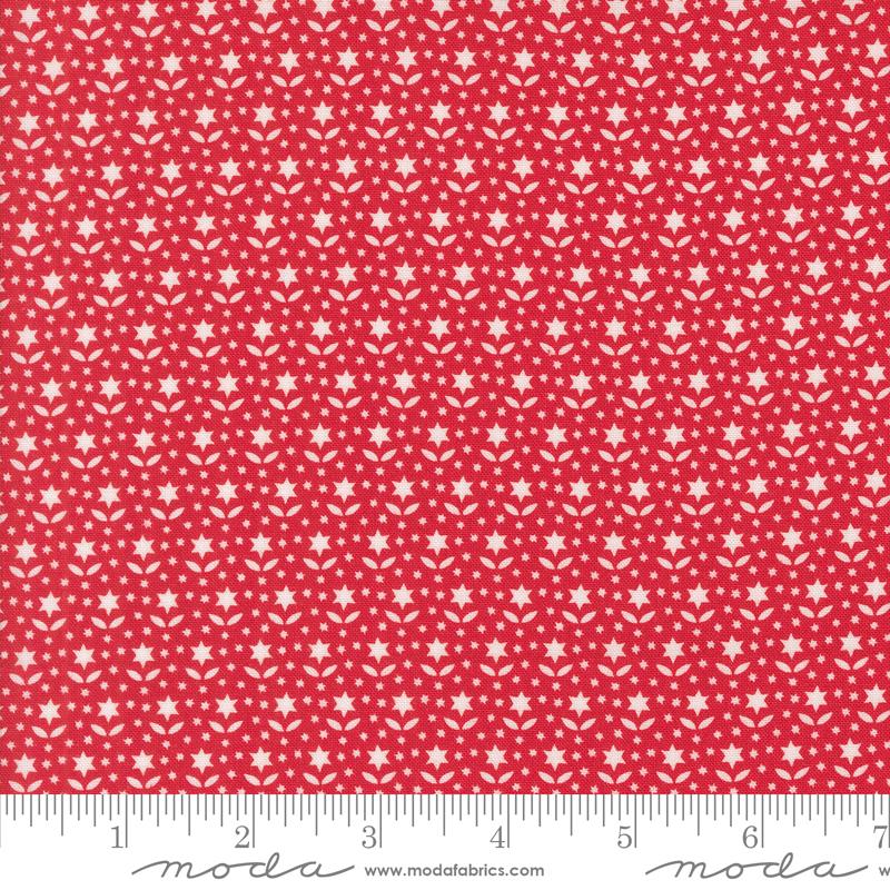 Buon Natale Pomegranate Star Blooms