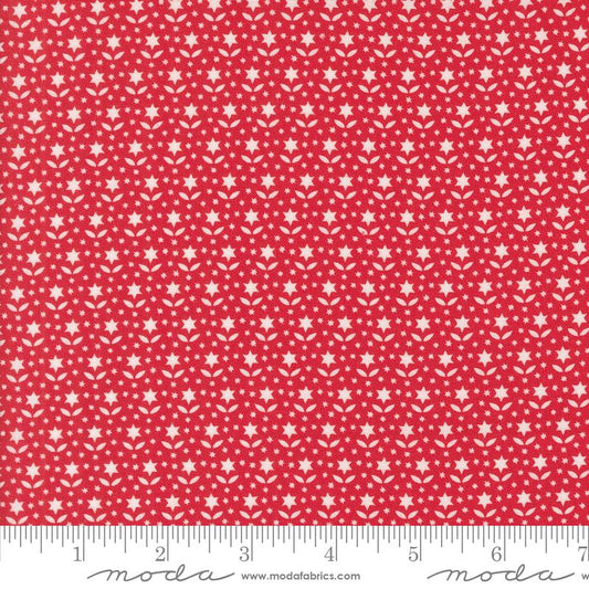 Buon Natale Pomegranate Star Blooms