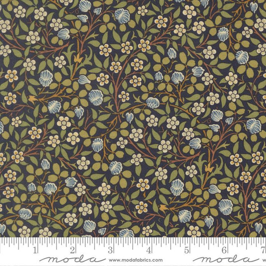 Morris Muse || Clover || Twilight