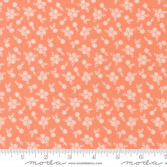 Pastel Prairie || Coral || Petals Floral