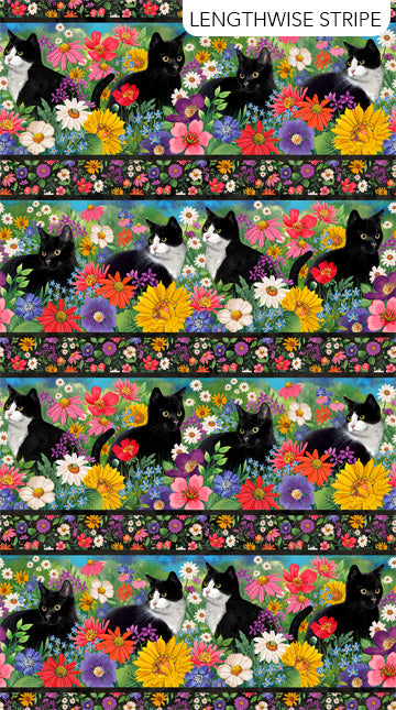 Hide and Seek Border Stripe Black Multi