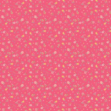 Finding Wonder Pink Blossoms