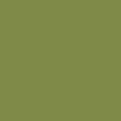 ColorPlay Cotton Organic - Olive