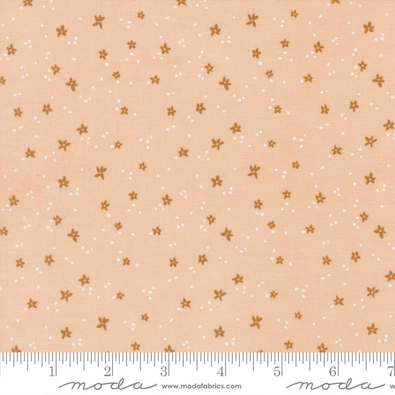 Peachy || Blossom || Whipped Cream