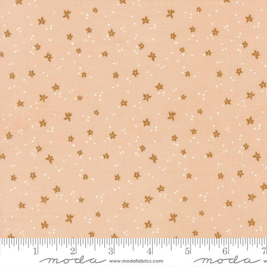 Peachy || Blossom || Whipped Cream