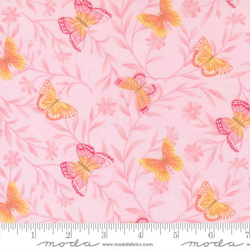Kindness || Butterflies || Blush