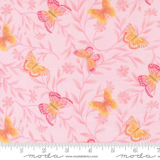 Kindness || Butterflies || Blush