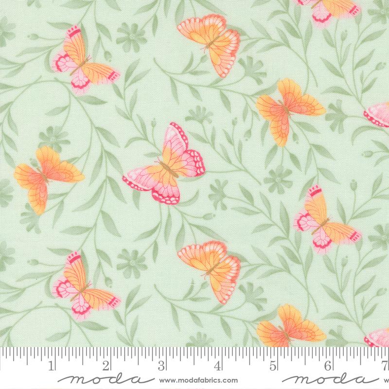 Kindness || Butterflies || Mist