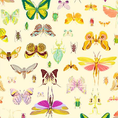 Insectarium Light On Display