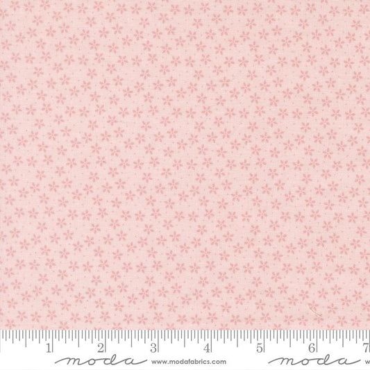 Pastel Prairie || Demure || Colander Floral