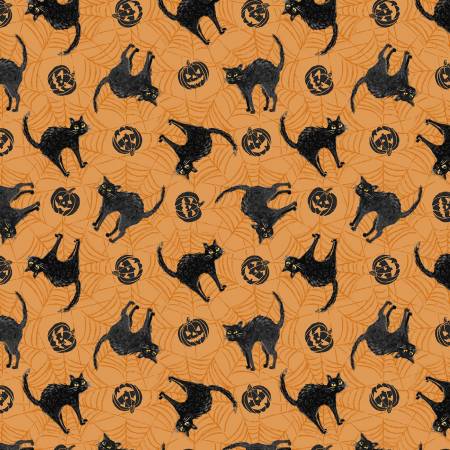 Meow-Gical Night Orange Scaredy Cats