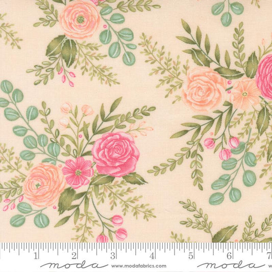 Kindness || Rose Garden || Peach