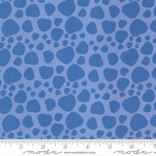 Creativity Roars Bluesky