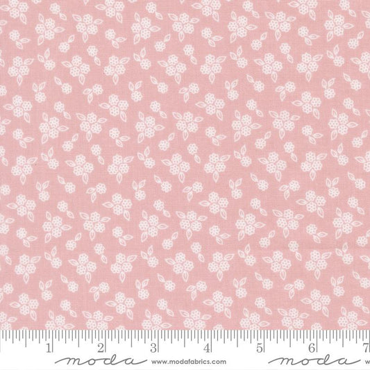 Pastel Prairie || Fading Rose || Petites Floral