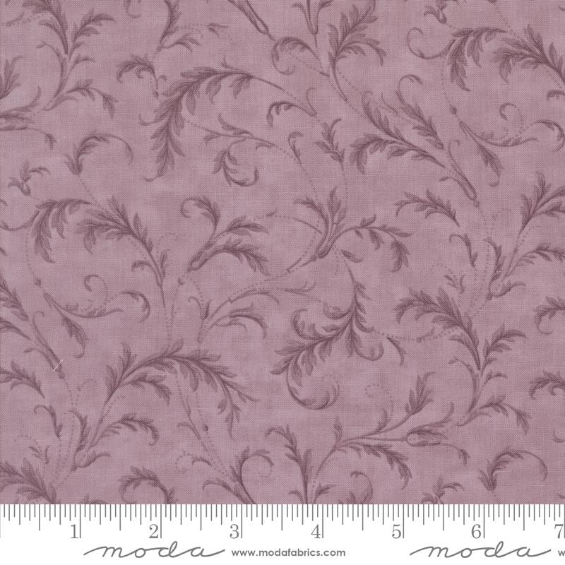 3 Sisters Lavender Fields Iris Flourishing Plaza