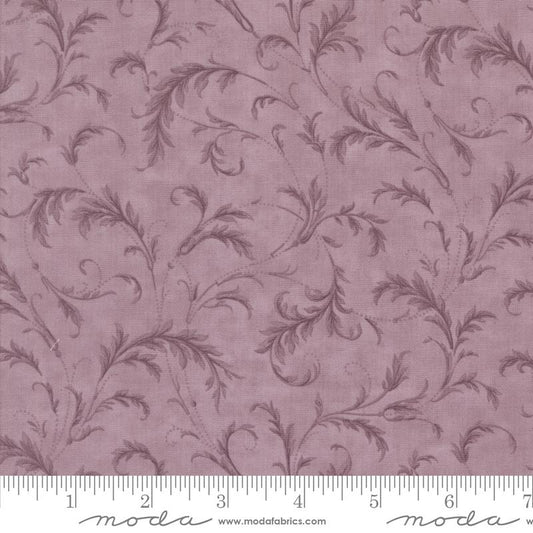 3 Sisters Lavender Fields Iris Flourishing Plaza